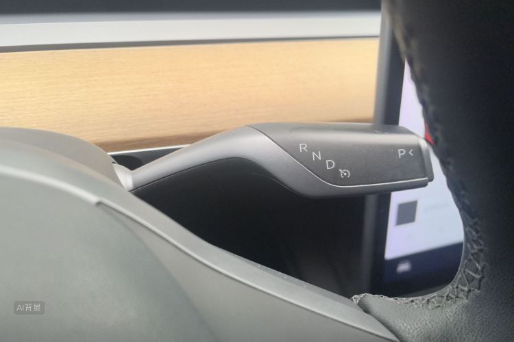 Tesla Model Y 2021 car image #16