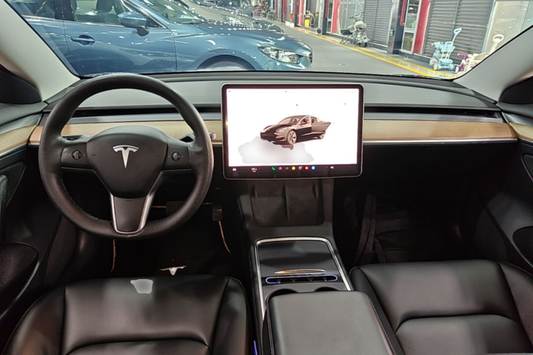 Tesla Model 3 2022 car image #10