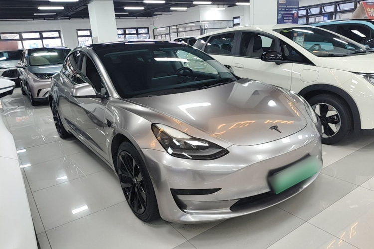 Tesla Model 3 2021 #4 Tesla Model 3 2021 car image #4