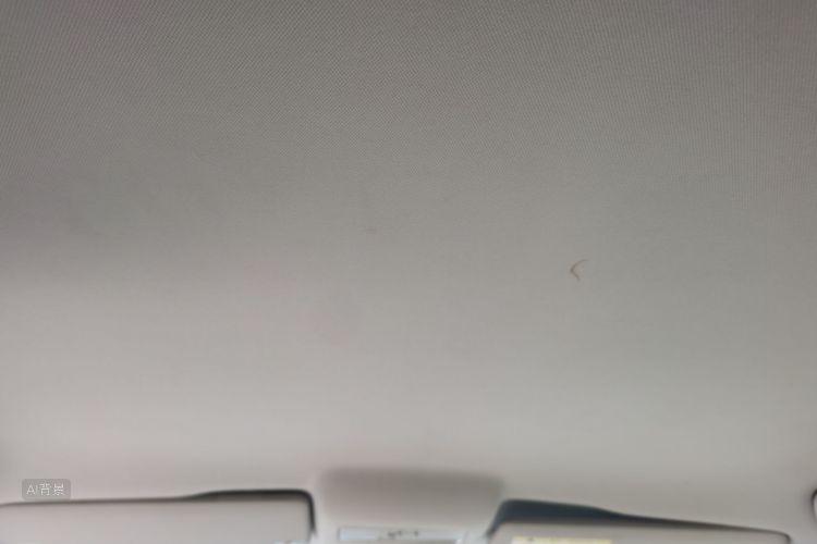 Volkswagen Polo 2016 car image #20