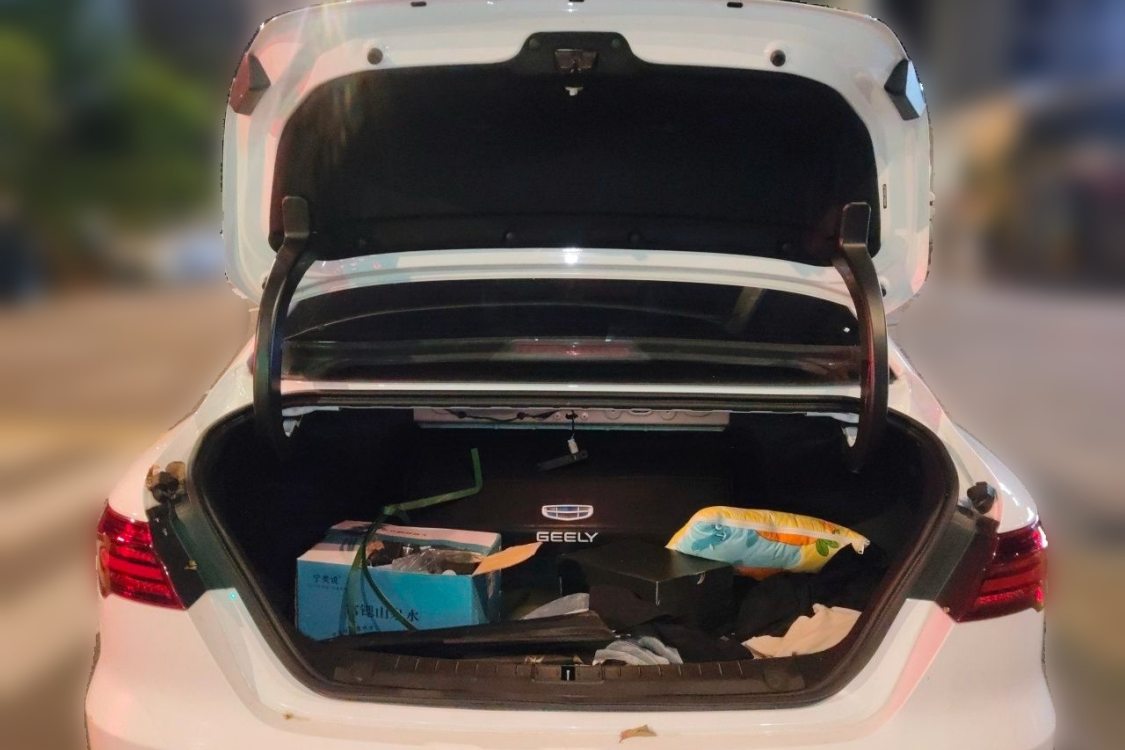 GEELY Binray 2020 #8 GEELY Binray 2020 صورة سيارة #8