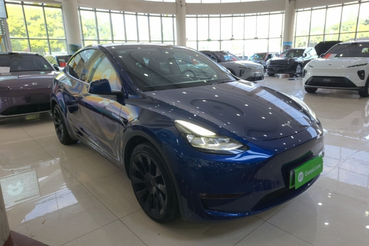 Tesla Model Y 2021 car image #4
