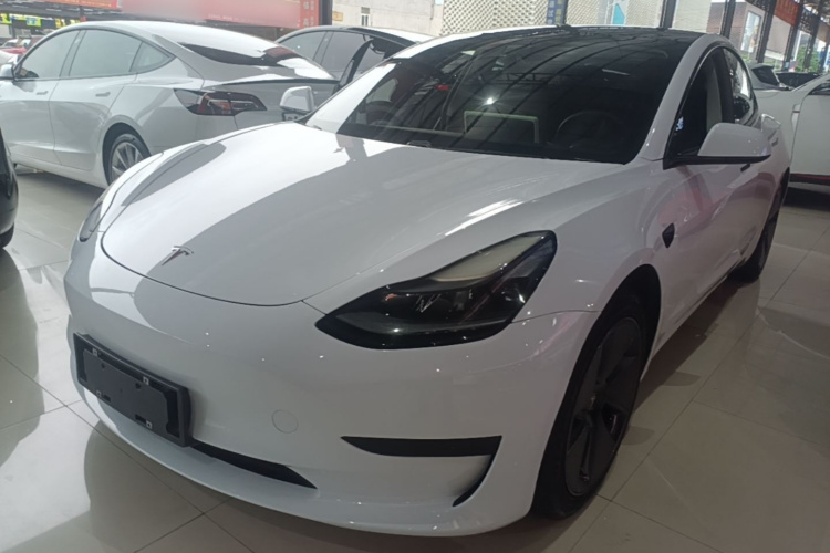 Tesla Model 3 2021 #2 Tesla Model 3 2021 car image #2