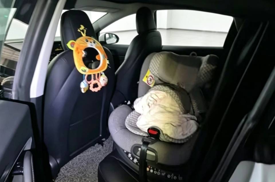 Tesla Model 3 2020 car image #4