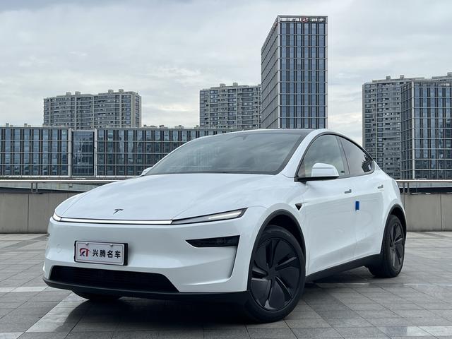 Tesla Model Y #17 Tesla Model Y car image #17