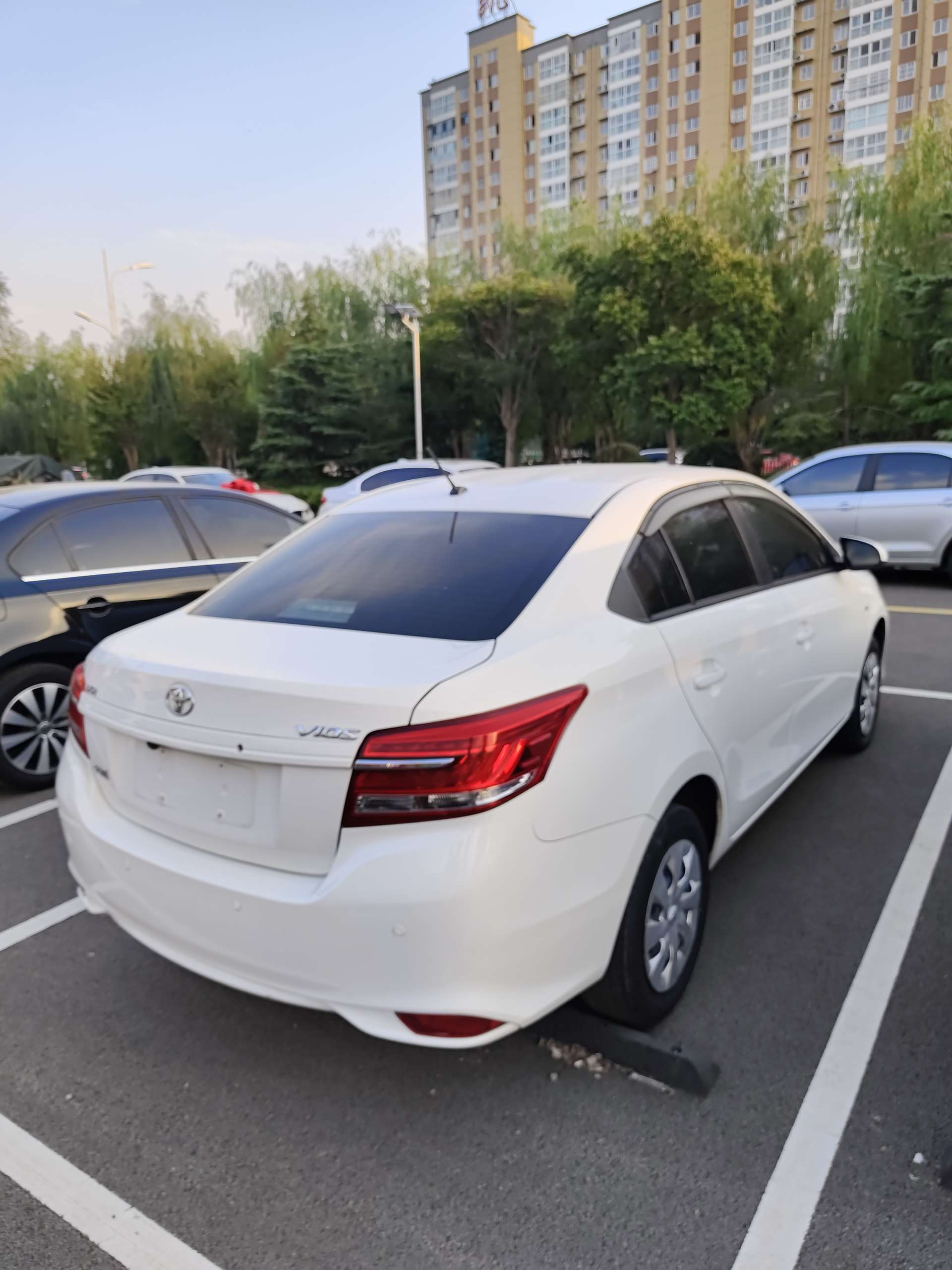 Toyota Vios 2019 #10 Toyota Vios 2019 car image #10