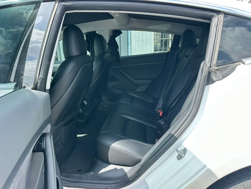 Tesla Model 3 2020 #3 Tesla Model 3 2020 car image #3