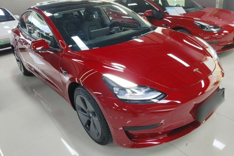 Tesla Model 3 2021 #6 Tesla Model 3 2021 car image #6
