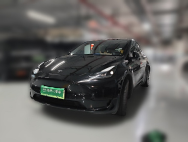 Tesla Model Y 2023 car image 