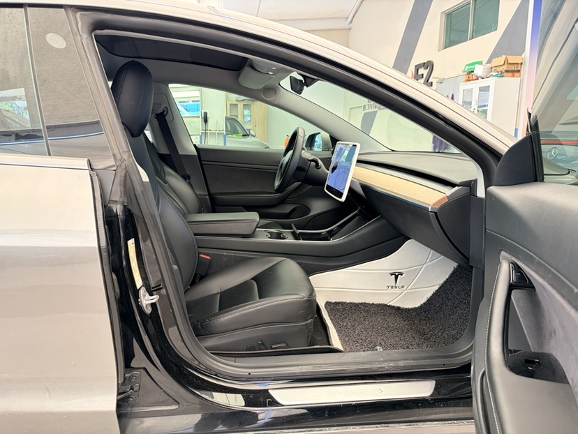 Tesla Model 3 2020 car image #8