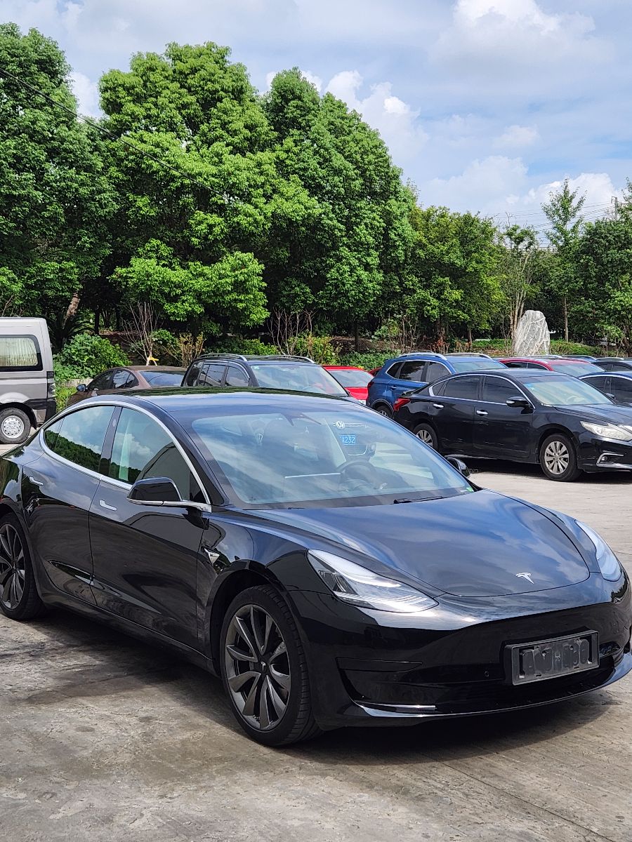 Tesla Model 3 2020 #3 Tesla Model 3 2020 car image #3