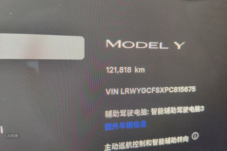Tesla Model Y 2023 immagine di auto #14