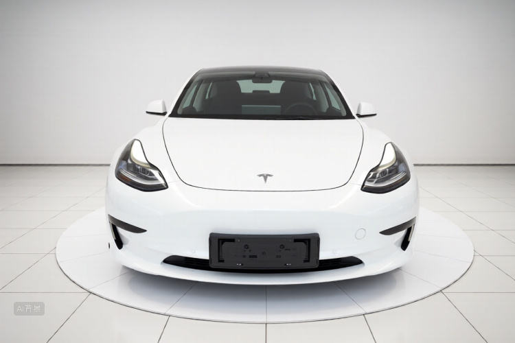 Tesla Model 3 2021 #3 Tesla Model 3 2021 car image #3