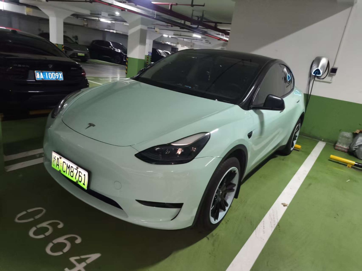 Tesla Model Y 2024 car image 
