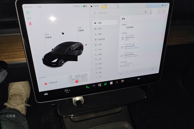 Tesla Model 3 2021 #15 Tesla Model 3 2021 car image #15
