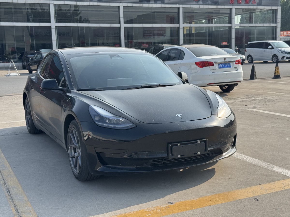 Tesla Model 3 2023 #3 Tesla Model 3 2023 car image #3