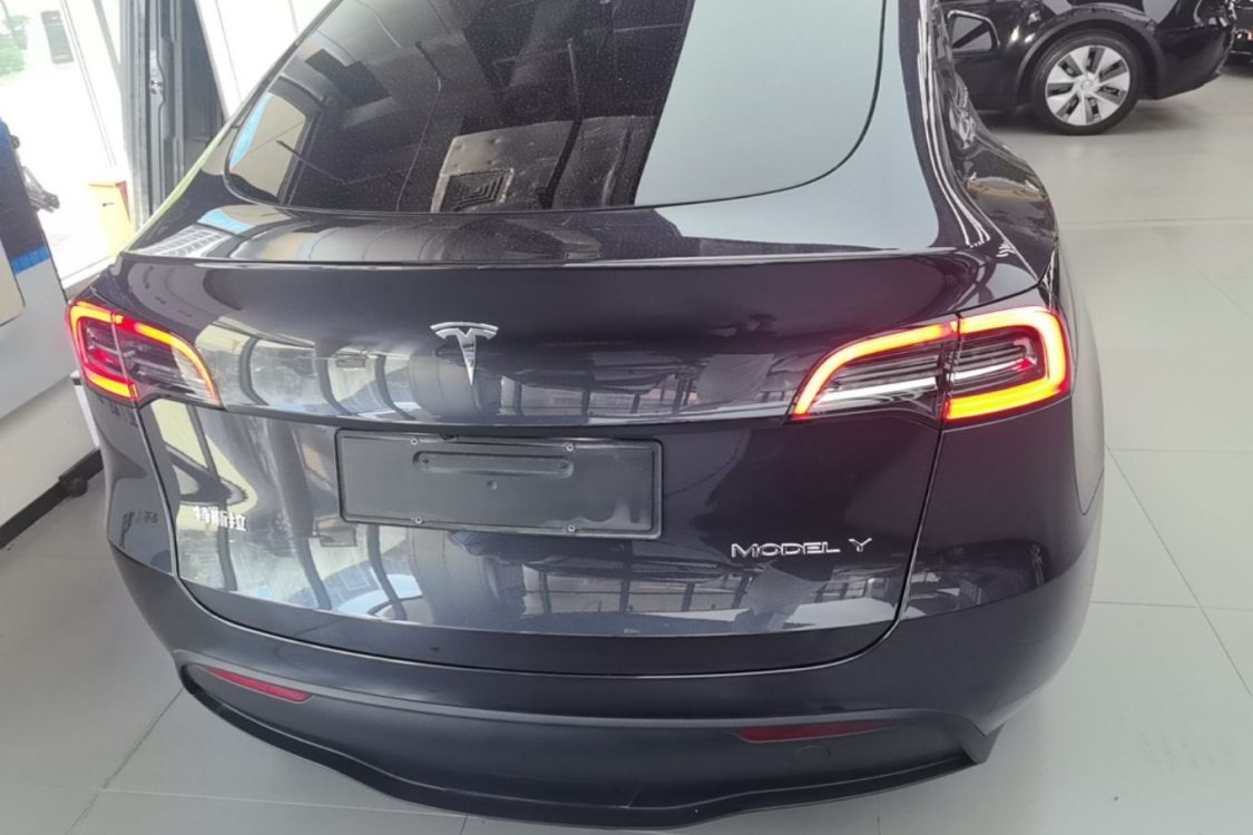 Tesla Model Y 2024 car image #6
