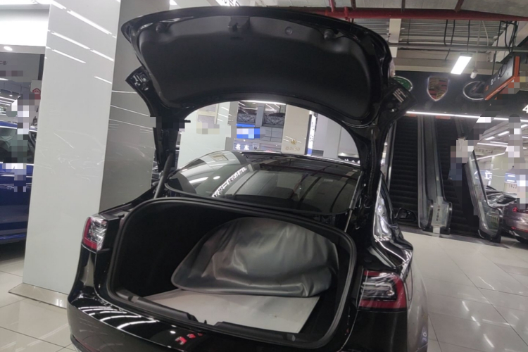 Tesla Model 3 2021 #19 Tesla Model 3 2021 car image #19