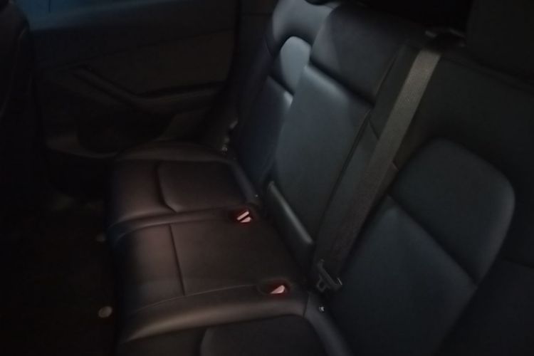 Tesla Model Y 2023 #17 Tesla Model Y 2023 car image #17