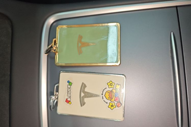 Tesla Model 3 2023 car image #14