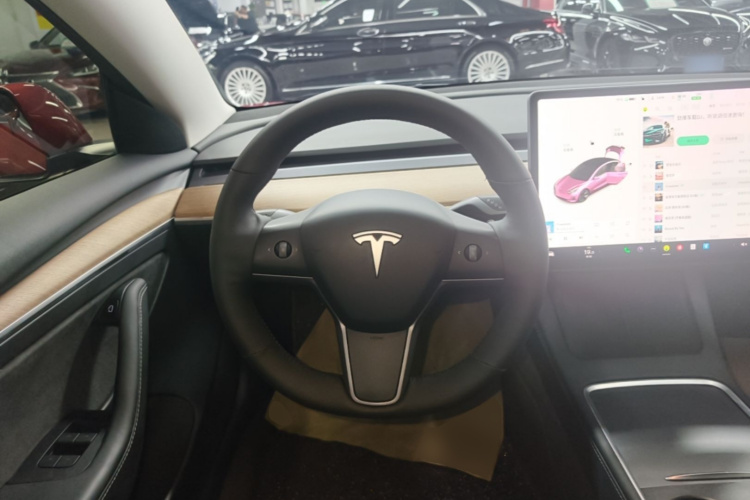 Tesla Model 3 2021 car image #17