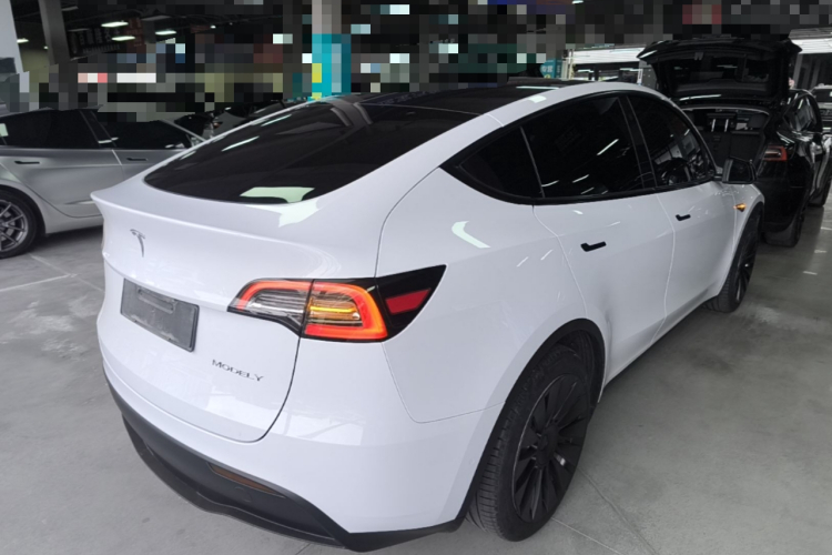 Tesla Model Y 2023 #7 Tesla Model Y 2023 car image #7