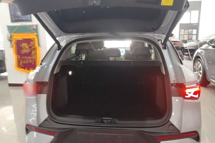BYD Yuan Plus 2025 car image #19