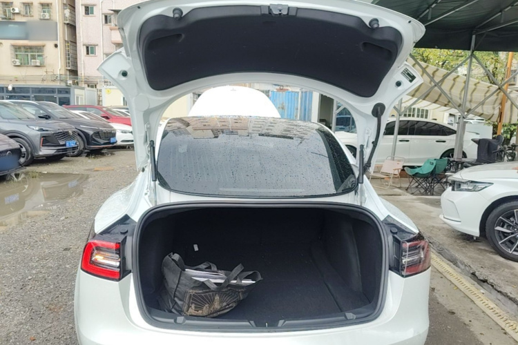 Tesla Model 3 2020 car image #19