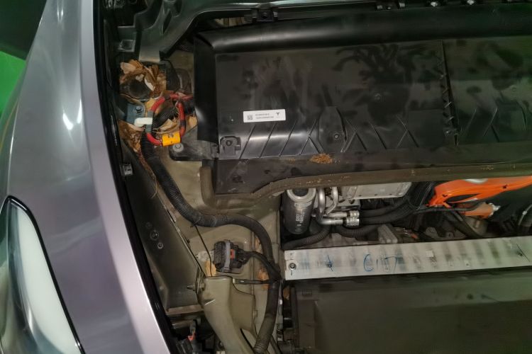 Tesla Model Y 2023 #28 Tesla Model Y 2023 car image #28