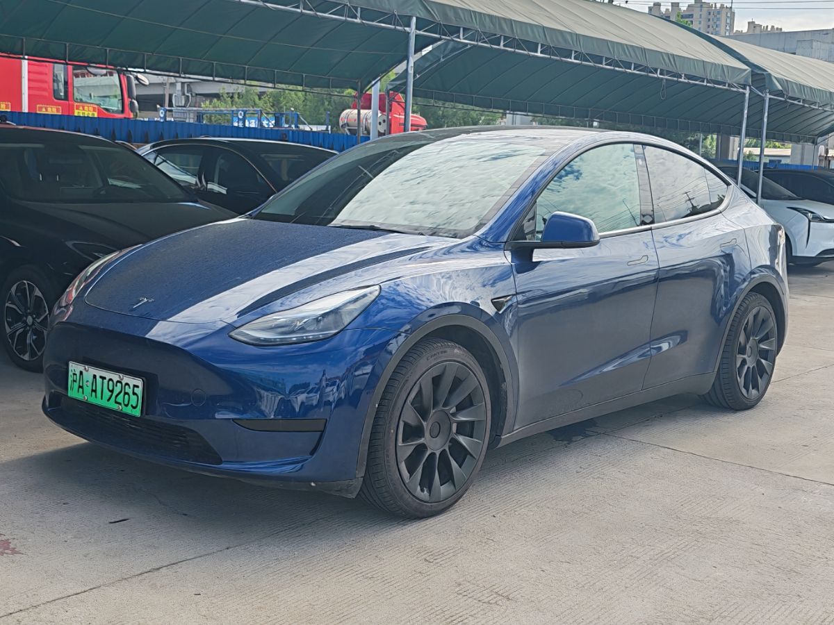 Tesla Model Y 2023 Tesla Model Y 2023 car image