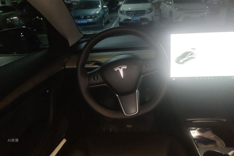 Tesla Model 3 2021 car image #12