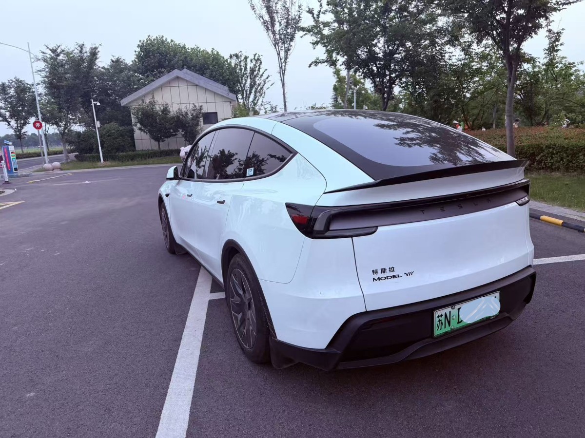 Tesla Model Y L 2025 car image #10