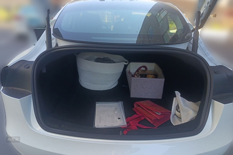 Tesla Model 3 2023 #21 Tesla Model 3 2023 immagine di auto #21