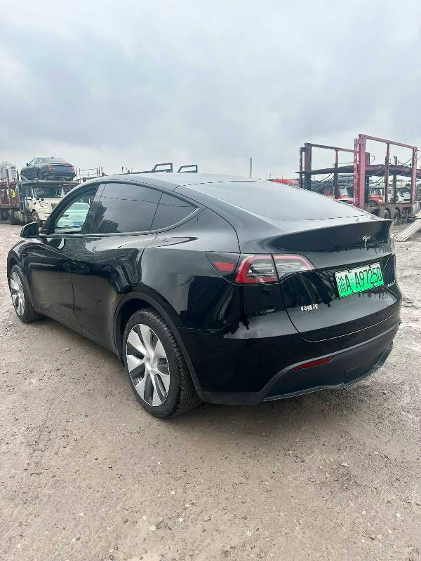 Tesla Model Y 2023 #4 Tesla Model Y 2023 car image #4