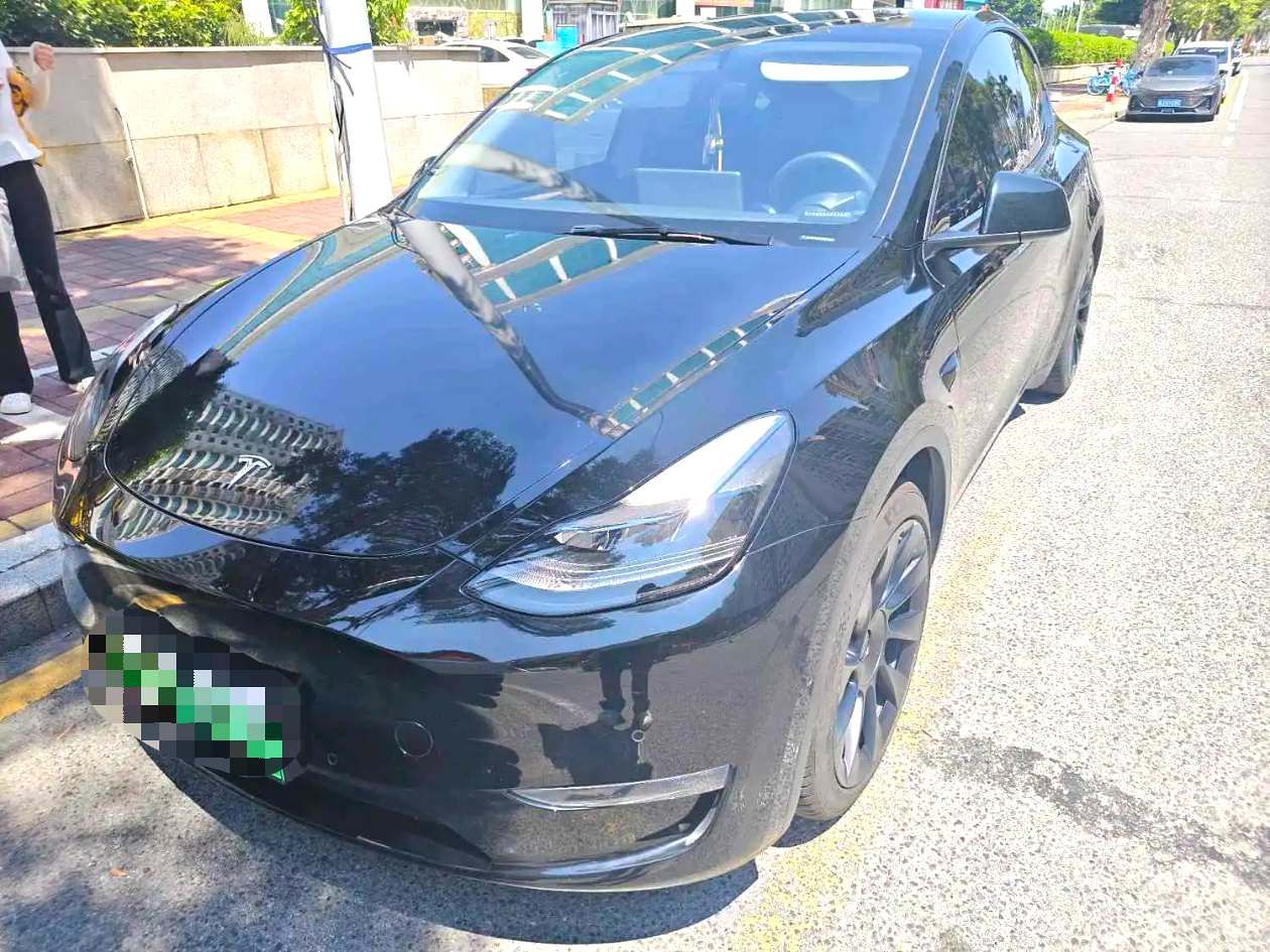 Tesla Model Y 2021 Tesla Model Y 2021 car image