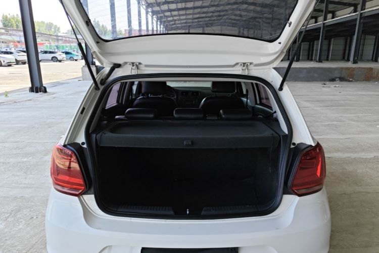 Volkswagen Polo 2014 car image #19