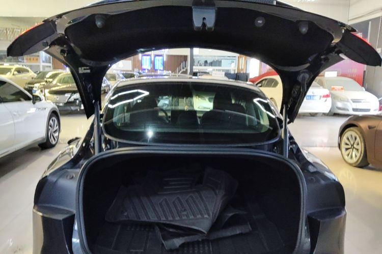 Tesla Model 3 2024 #19 Tesla Model 3 2024 car image #19