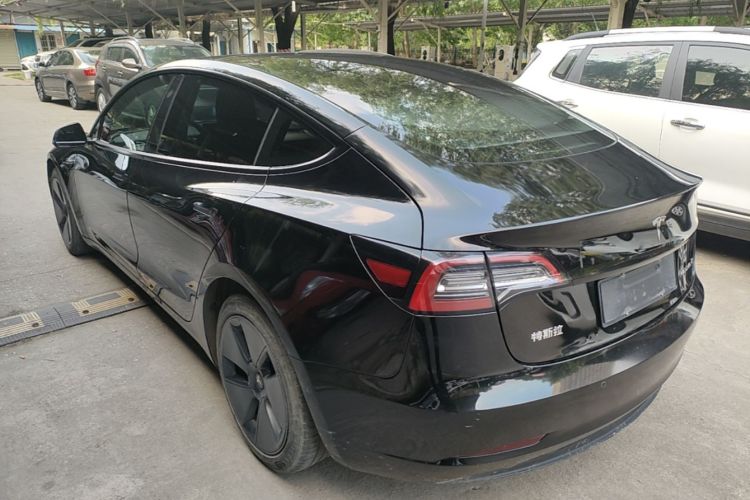 Tesla Model 3 2021 #5 Tesla Model 3 2021 car image #5