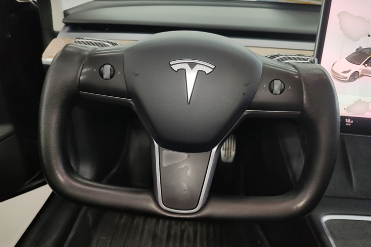 Tesla Model 3 2021 immagine di auto #11