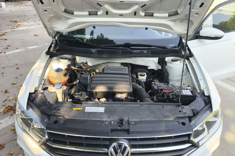 Volkswagen Bora 2020 car image #20