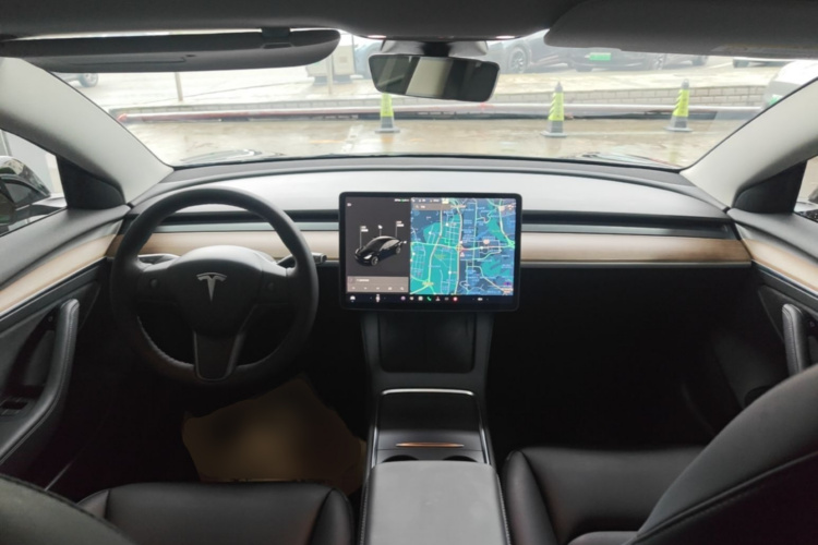 Tesla Model 3 2021 car image #10
