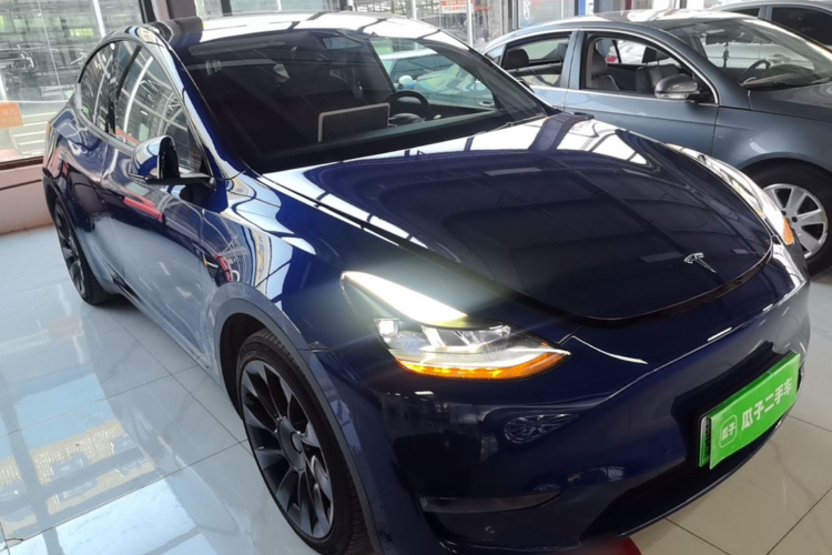 Tesla Model Y 2021 car image #6
