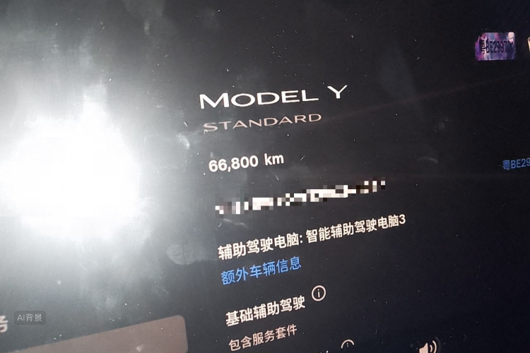 Tesla Model Y 2022 car image #14