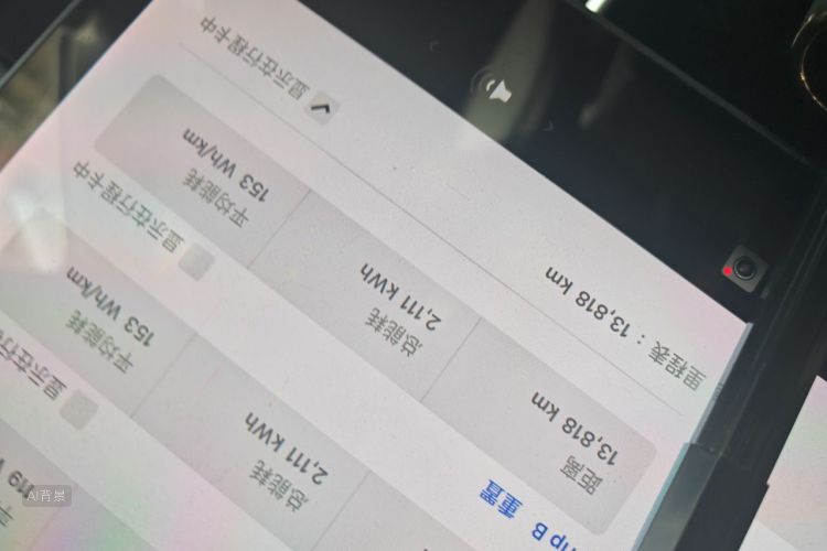 Tesla Model 3 2020 car image #14