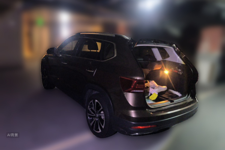 Volkswagen Tharu 2019 car image #5