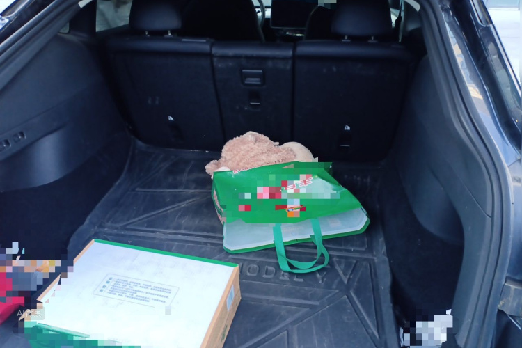 Tesla Model Y 2024 car image #21