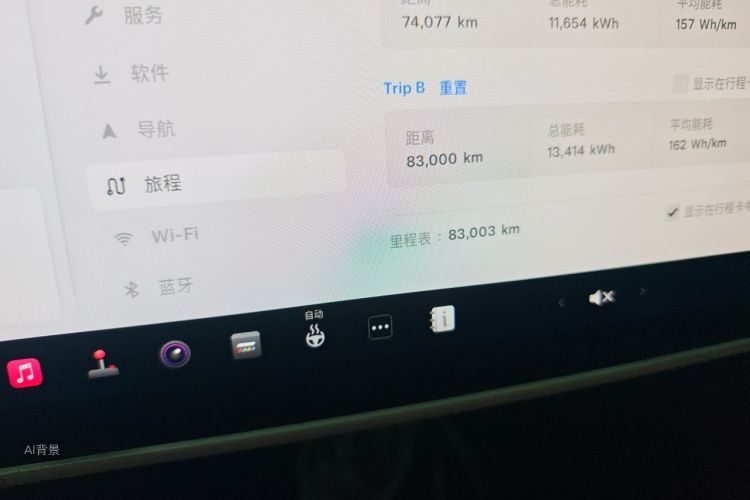 Tesla Model Y 2021 car image #14
