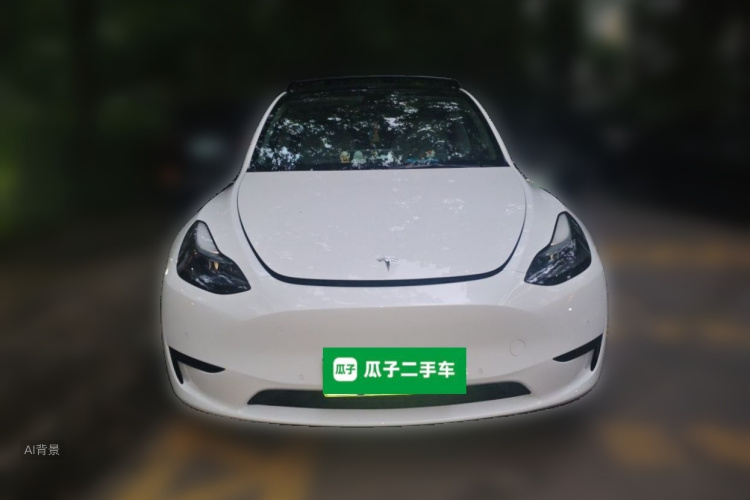 Tesla Model Y 2022 #3 Tesla Model Y 2022 car image #3
