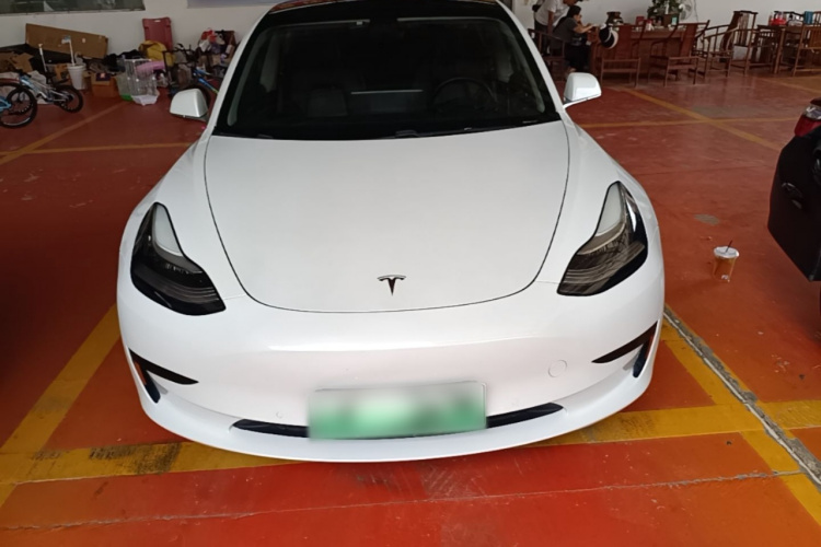 Tesla Model 3 2019 imagem de carro #3