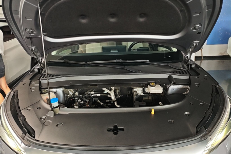 BYD Yuan Plus 2023 car image #20
